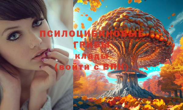 МДМА Верея